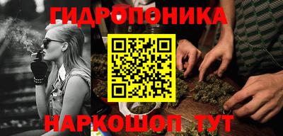 индика Новоалтайск