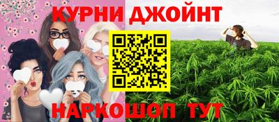 индика Новоалтайск