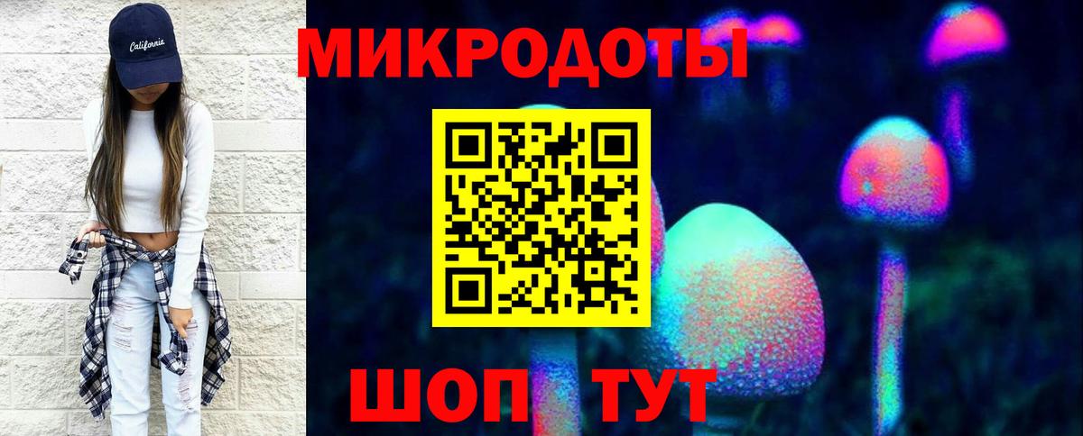 Галлюциногенные грибы Psilocybine cubensis  Вход с VPN  Белгород 