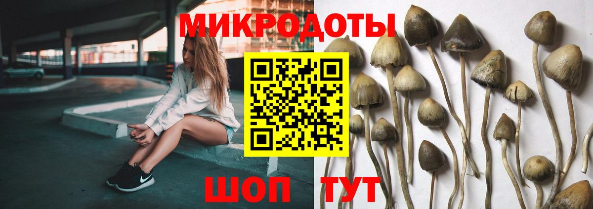 Псилоцибиновые грибы мицелий Белгород